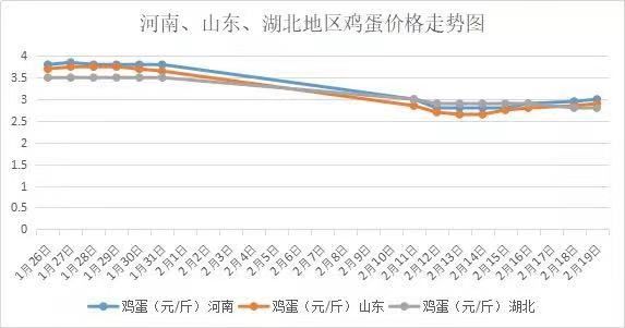 今日全国鸡蛋最新价格鸡蛋报价,“今日全国鸡蛋行情速览”