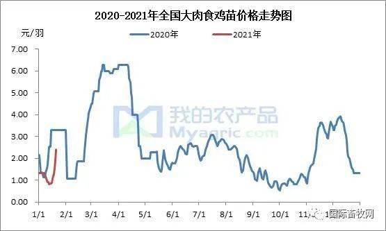 今日渔市好行情，价格喜人跃升！