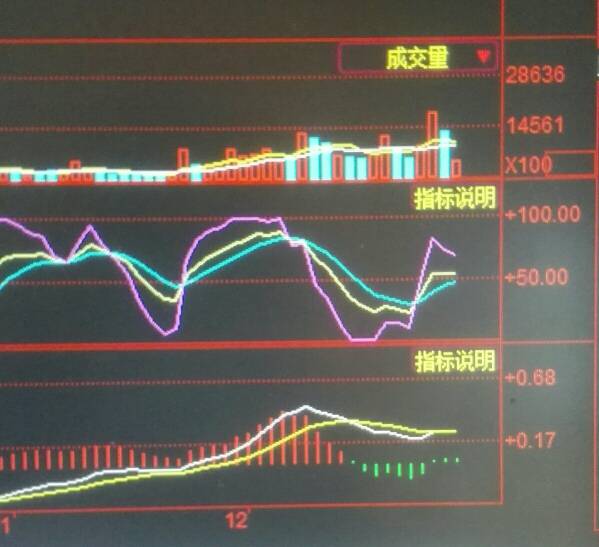 铜陵有色股价动态：最新资讯速递解析