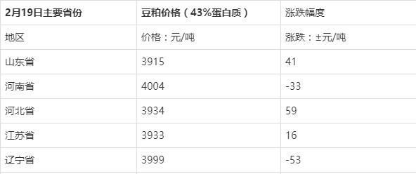 今日豆粕市场最新报价动态揭晓